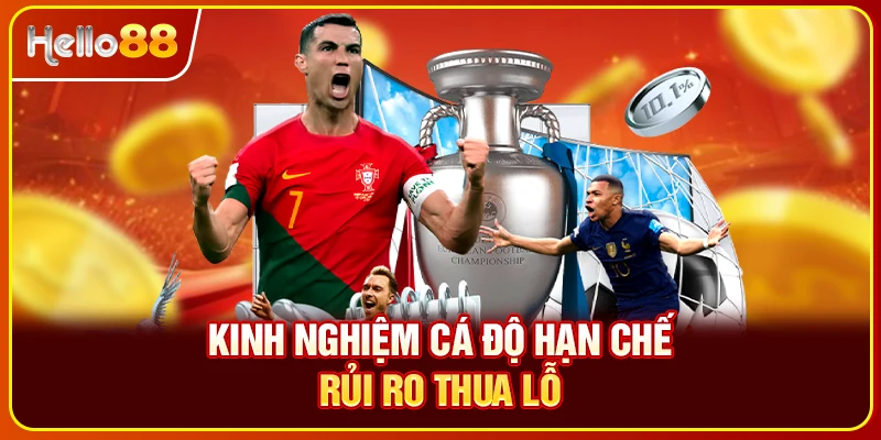 Kinh nghiệm cá độ hạn chế rủi ro thua lỗ