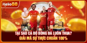 Tại Sao Cá Độ Bóng Đá Luôn Thua